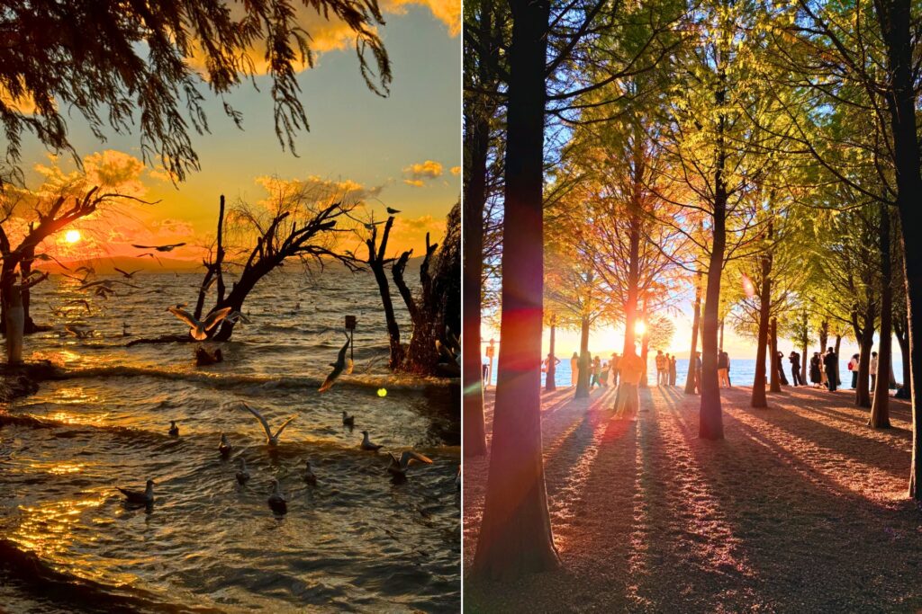 Coucher de soleil à Laoyu River Wetland