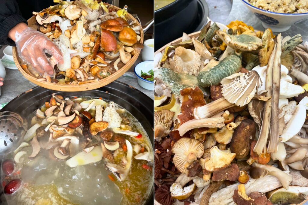 Fondue de champignons sauvages 野生菌火锅 — Spécialité du Yunnan à Kunming