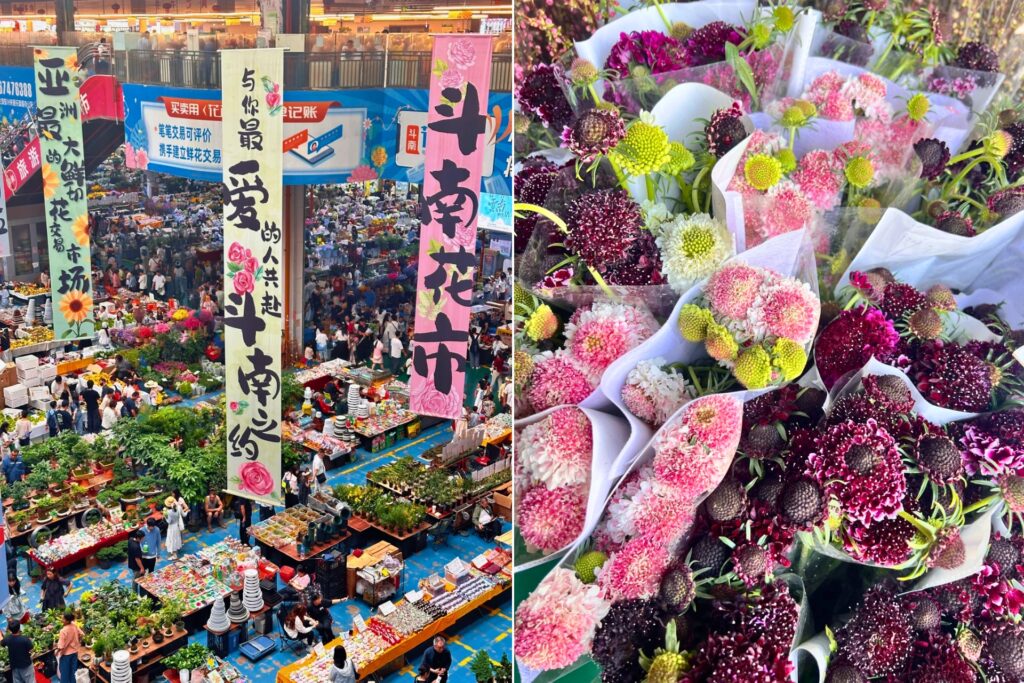 Marché aux fleurs de Dounan (斗南花市), le plus grand d’Asie