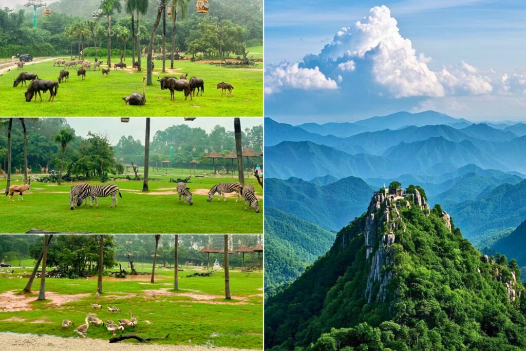 Parc Safari de Chimelong & Mont Baiyun