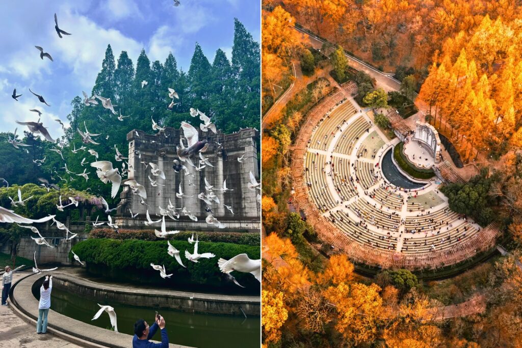 Scène musicale 音乐台