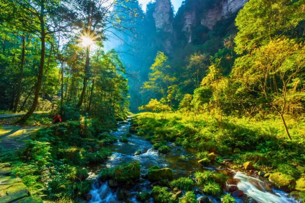 Sentier du ruisseau Jinbianxi 金鞭溪 à Zhangjiajie 张家界