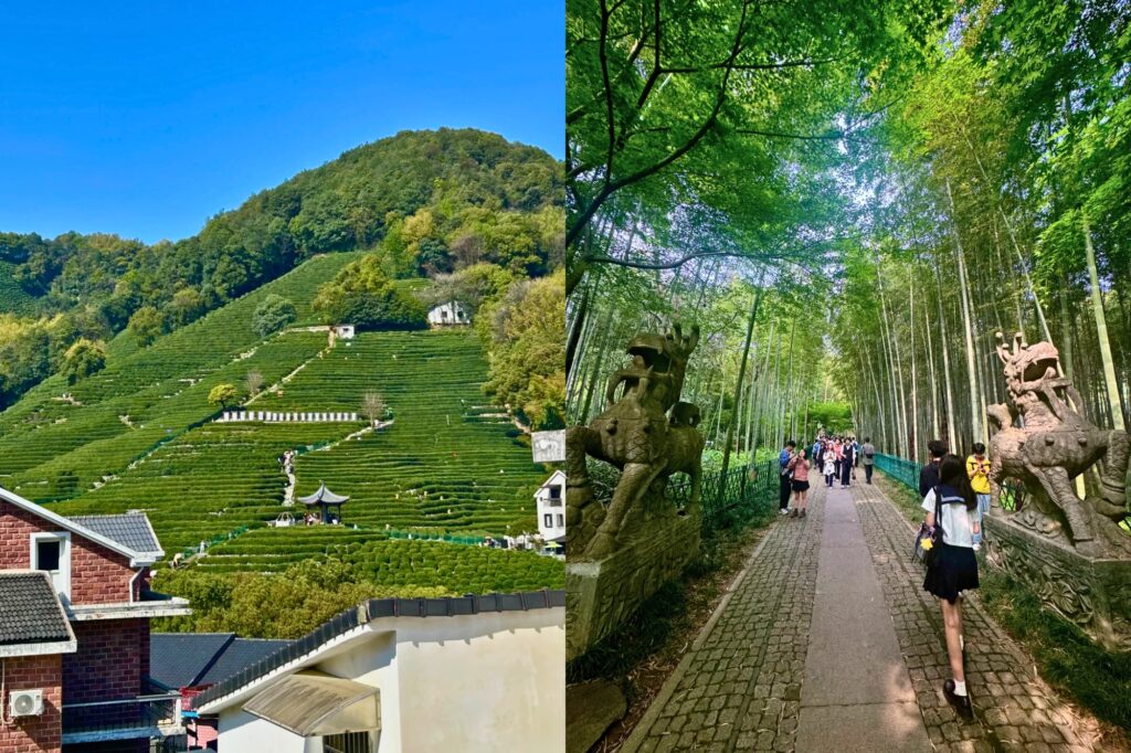Longjing et Jiuxi Shibajian : entre plantations de thé, sentiers ombragés et ruisseaux, l’un des plus beaux visages nature de Hangzhou.