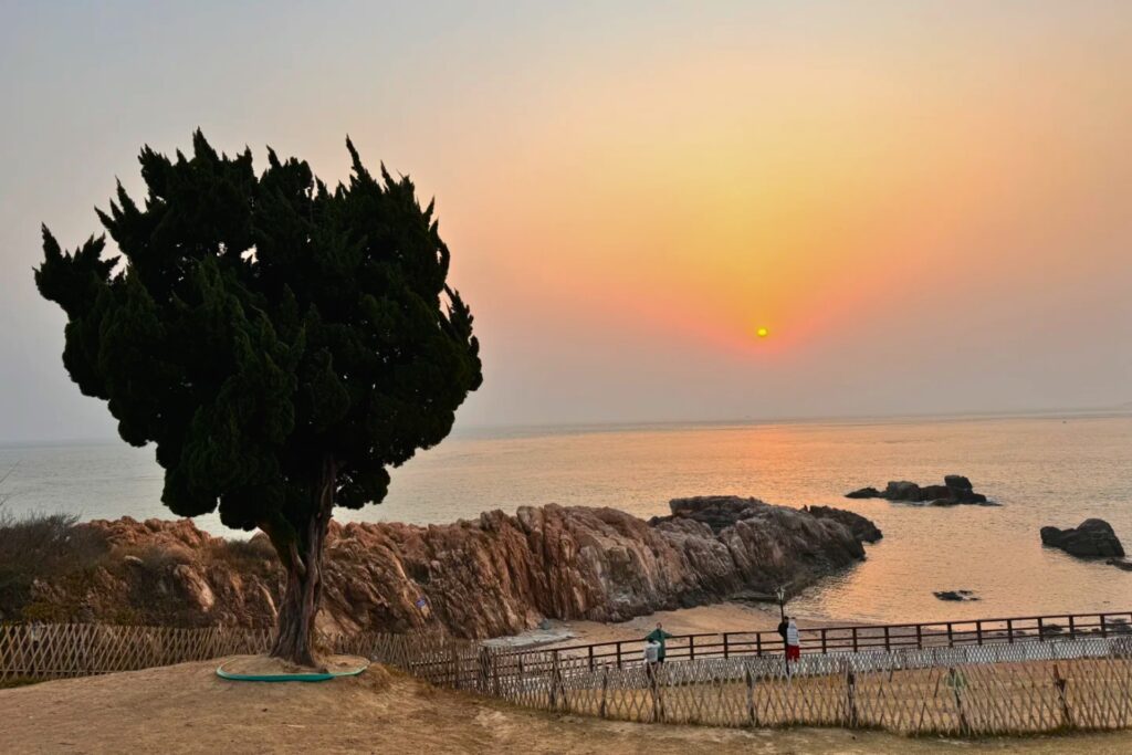 Arbre solitaire sur la presqu’île Xiaomaidao au coucher du soleil, avec rochers et mer teintée d’orange