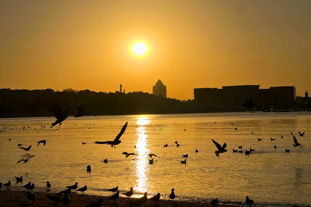 Coucher de soleil doré sur la mer à Qingdao, avec des mouettes volant et se posant sur l’eau, silhouette urbaine à l’horizon