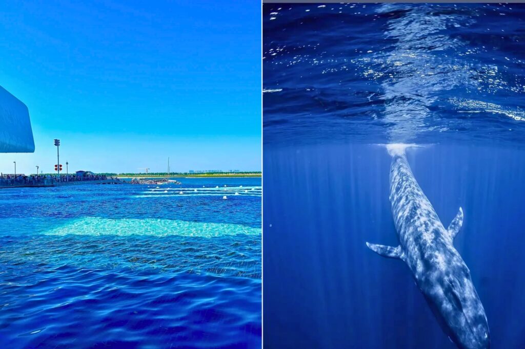 Musée national de l’Océan 国家海洋博物馆 près de Tianjin